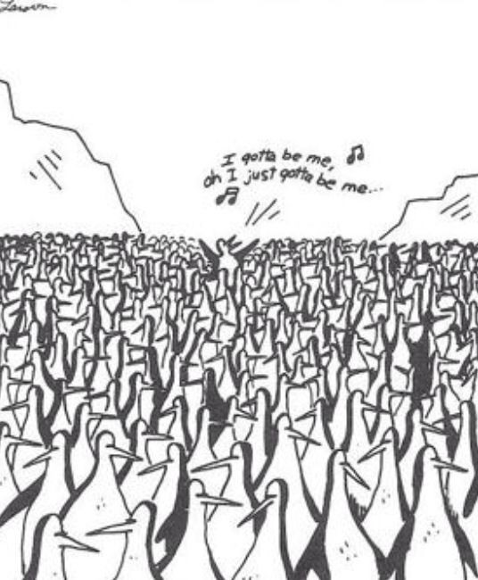 Gary Larson's "I gotta be me" Far Side cartoon where a lone penguin is standing up in a crowd of penguins and singing "I gotta me be me."